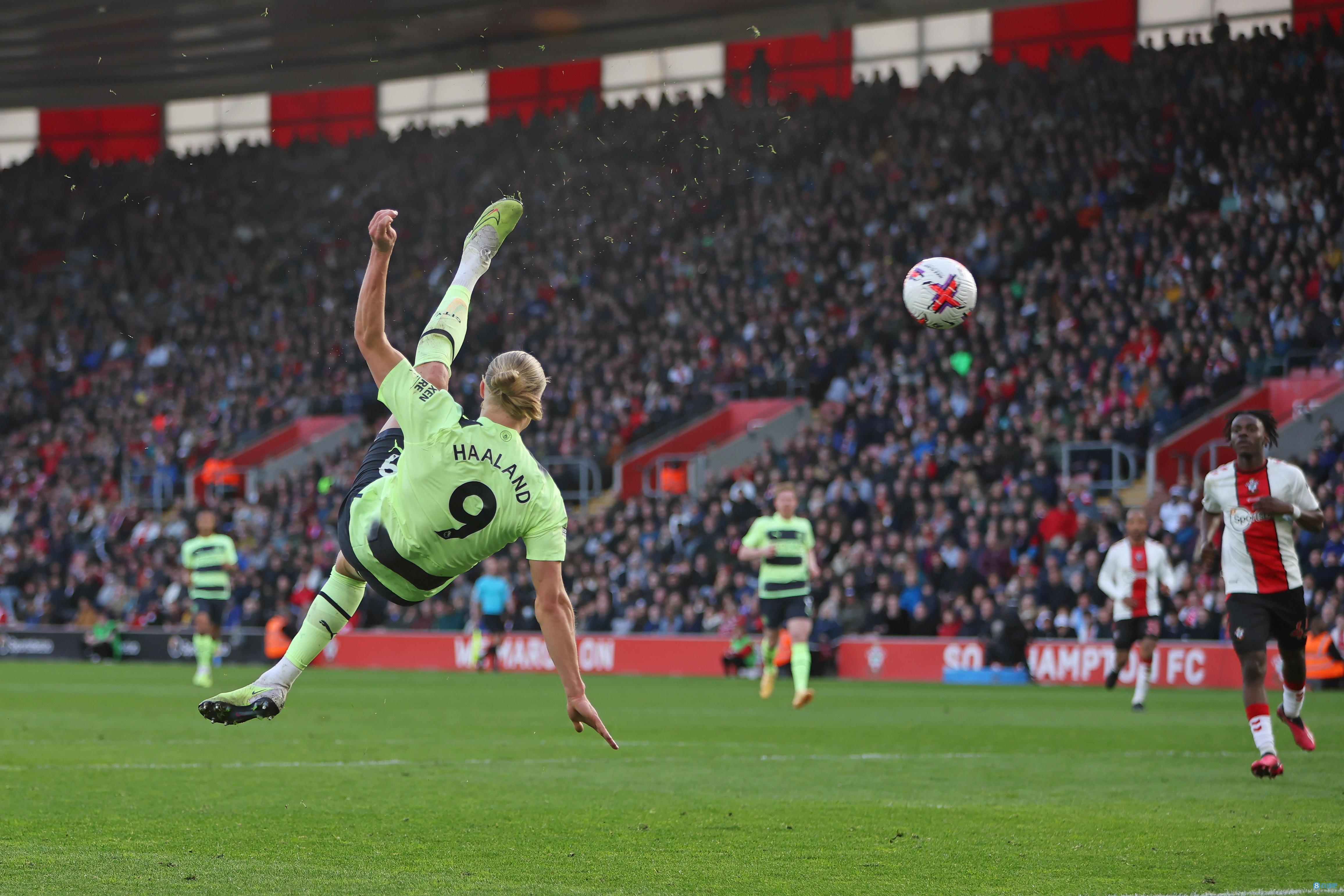 己之力带队 己之力带队